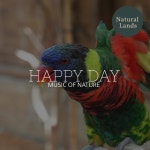 Singing Frogs - song and lyrics by Glorious Nature Music Club | Spotify Singing Frogs