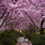 Valores - Single by DuhX | Spotify Valores