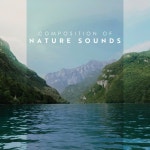 Composition of Nature Sounds: Relaxing Ocean Waves, Woodland Ambience, Rainfall, Flowing River - Album by Relaxing Nature Sounds... 