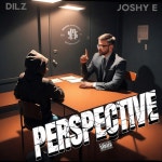 Perspective - Single by Dilz | Spotify Perspective
