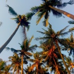 How We Living - Single by Mista Monk | Spotify How We Living