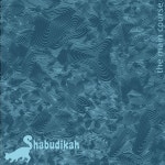 Too Much Time - song and lyrics by Shabudikah | Spotify Too Much Time
