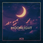 Moonlight - song and lyrics by Jim Yosef | Spotify Moonlight