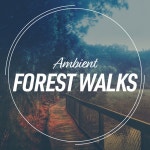 Forest Walks ! ! ! ! ! ! - Album by Baltic Nature Sounds, Ambient Forest, Naturaleza | Spotify ! ! ! ! ! ! Ambient Forest Walks... 