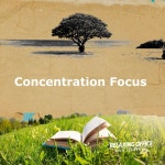 Concentration Focus - Album by Relaxing Office Music Collection | Spotify Concentration Focus