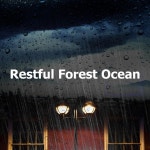 Restful Forest Ocean - Album by Rain for Deep Sleep | Spotify Restful Forest Ocean