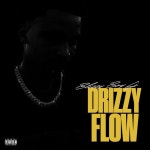Drizzy Flow - Single by Blizzyboy Lj | Spotify Drizzy Flow