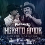 Ingrato Amor (En Vivo Desde El Domo Care) - Single by PALOMAZO NORTEÑO | Spotify Ingrato Amor (En Vivo Desde El Domo Care)