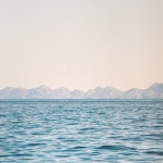 Movements II - Estuary - song and lyrics by SVLBRD | Spotify Movements II - Estuary