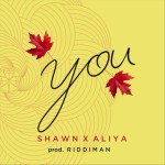 You - Single by Shawn Navis | Spotify You