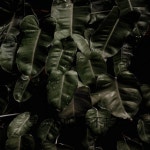 男人的心伤不起(混音) - song and lyrics by 于士沅 | Spotify 男人的心伤不起(混音)