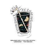 Lemonade (The Remixes) - EP by Benjamin Neil | Spotify Lemonade (The Remixes)