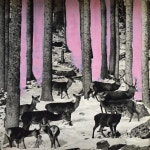 Сircles - EP by Hippóphaë | Spotify Сircles