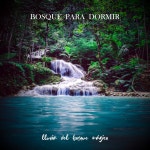 Para Meditar - song and lyrics by Lluvia del Bosque Mágico, Chuva no Bosque, Musica Ambiente de The Wood | Spotify Para Meditar