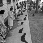 slim interlude - song and lyrics by Dark Hardy | Spotify slim interlude