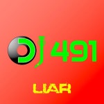 Liar - Album by DJ 491 | Spotify Liar