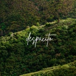 Despacito - Single by Shitiz | Spotify Despacito