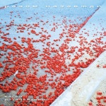 Думка - song by Євген Рогачевський | Spotify Думка