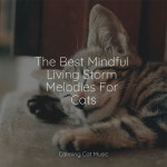 The Best Mindful Living Storm Melodies For Cats - Album by Official Pet Care Collection, Music for Cats Project, Music for... 