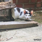 형제공업사 | Spotify 형제공업사