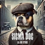 Sigma Dog - Sped Up - song and lyrics by Lil Big Stack | Spotify Sigma Dog - Sped Up