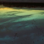 Run - Single by Error404 | Spotify Run