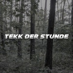 Tekk der Stunde - song and lyrics by Jannis Kettner | Spotify Tekk der Stunde