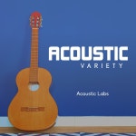 Acoustic Variety - Album by Acoustic Labs | Spotify Acoustic Variety
