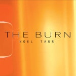 The Burn - song and lyrics by Noel Tarr | Spotify The Burn