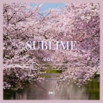 Sublime Vol. 2 - Compilation by Various Artists | Spotify Sublime Vol. 2