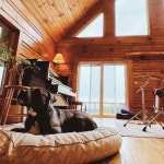 Alex Giller | Spotify Alex Giller