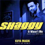 It Wasnt Me - Sped Up - song and lyrics by Shaggy، Rik Rok، Kuya Magik، Speed Radio | Spotify It Wasnt Me - Sped Up