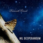 Nil Desperandum - Album by Premnath Gonesh | Spotify