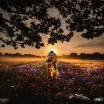 Segmer was - song and lyrics by Distrust | Spotify Segmer was