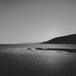 From the Islands - Single by Sáez | Spotify From the Islands