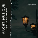 Serenade Kv 388-384A Nacht Musique (2. Andante) - song by Wolfgang Amadeus Mozart, Schola Camerata | Spotify Serenade Kv 388-384A... 