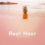 Real Hour - song by pineapple beats | Spotify Real Hour