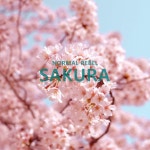 Sakura - Single by Normal Rebel | Spotify Sakura