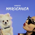 Marocanca - Single by Narcisa | Spotify Marocanca