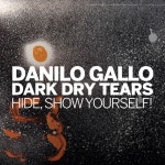 Hide, Show Yourself! - Album by Danilo Gallo | Spotify Hide, Show Yourself!