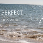 Perfect - Single by Craig Owen | Spotify Perfect