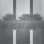 SOFTMOTEL | Van egy nap, ma / There is a day that is today - Album by SoftMotel | Spotify Van egy nap, ma / There is a day that is today