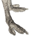 How To Ruin Everything For Everyone - Single by The Overhead Bins | Spotify How To Ruin Everything For Everyone