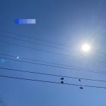 Grass Paper - song and lyrics by Shai Nowell | Spotify Grass Paper