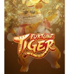 Fortune Tiger - song and lyrics by Lucas Leek | Spotify Fortune Tiger