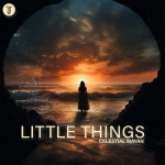 Little Things (Afro House) - Single by Celestial Mayan | Spotify Little Things (Afro House)