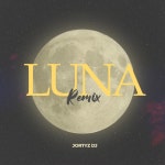 Luna (Remix) - Single by Jortyz DJ | Spotify