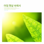 아침 햇살 속에서 - song and lyrics by Sky Wind | Spotify 아침 햇살 속에서