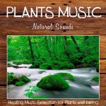Relax on the Lake - song and lyrics by Plantasia | Spotify Relax on the Lake