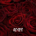 Roses - Single by NL | Spotify Roses